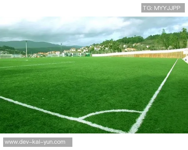 夏南足球场的魅力与激情探索让我们一起感受绿茵场上的青春与梦想